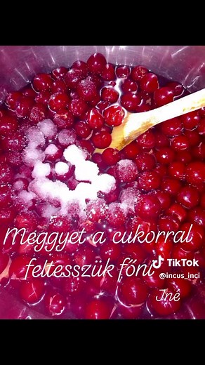 Meggyes pite recept - egyszerű és gyors készítés