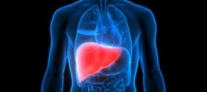 Lasers offer hope to liver transplant process | News | The University of Edinburgh