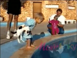 30K views · 209 reactions | Don't Mess with kitty | MovieFunky | Facebook