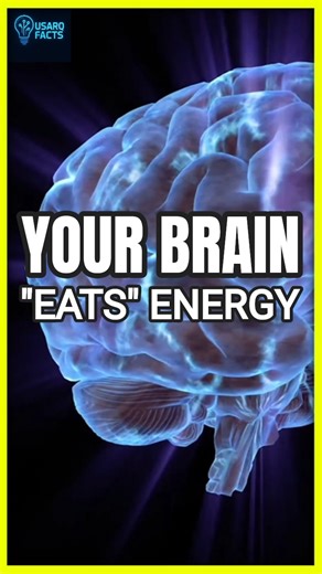Your Brain Uses 20% of Your Energy 🤯 | USARQ Facts: Video 155 | #Shorts