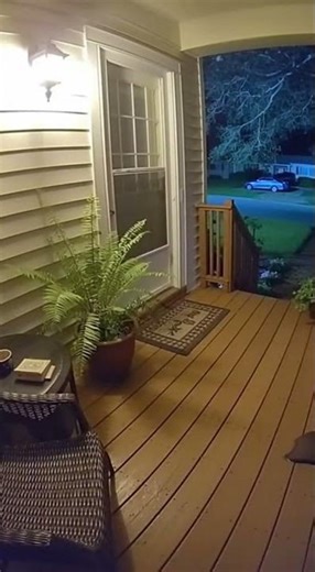 Mysterious Shadow and Whispering Sounds at Night