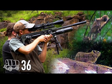 "The Green Machine" | Monkey and Dassie Hunting | The Oxwagon Diaries, Part 36