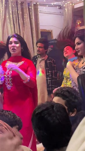 Dolphin Ayan Dance Party Experience