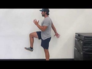 Standing Hip Flexion ISO Hold (Isometric)