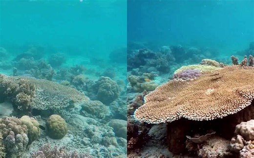 水下图像增强，Deepwavenet算法，已开源，效果很好