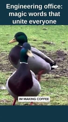 Engineering office: magic words that unite everyone