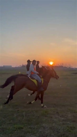 Come and jump slowly#Wild Ride Club#Horseback riding#Wild ride#Sunset