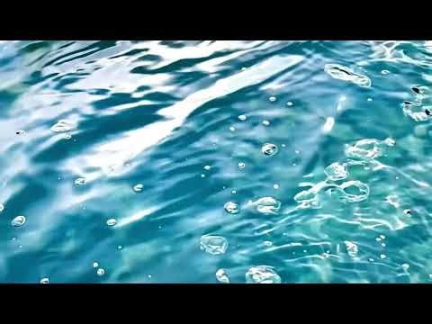 nicovideo jp "Rhymester Utadamaru's Cinema Ranking 2009" Niconico Video