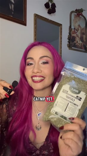 Rosa, The Divine Feminine Witch on Instagram: "Some of my favorite herbs and what I use them for in my magical practice. This does not mean these are the only magical correspondences for these herbs. There are also many alternatives out there. I find that as I keep practicing and try new things out, I see what works best with my energy. Some herbs work better for you than others, and the only way to know that is to test them. Do you use any of these herbs? Or are there other herbs that you prefe