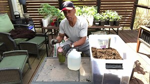 Using Alfalfa Pellets In The Garden #gardening #vegetablegarden #garden #alfalfa | Keith Chapman