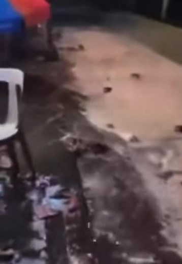 119K views · 1.3K reactions | Nakaranas ng storm surge o daluyong ang Borongan City, Eastern Samar dahil sa Bagyong Uwan (#UwanPH). Biglang tumaas ang tubig-dagat sa Baybay Boulevard at pumasok sa ilang kabahayan sa mga baybaying barangay matapos hampasin ng malalakas na alon. Patuloy ang katamtamang pag-ulan sa lugar, na nananatiling nasa ilalim ng Signal No. 2 at Storm Surge Warning.  Jimmy Apura, Pabz Capacite Jr | Biliran Island | Facebook