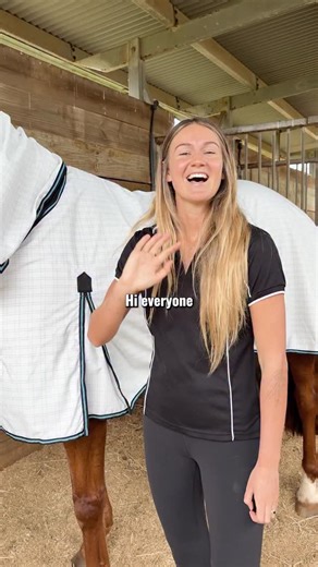 The ultimate belly rug for horses. Insect control is bonded deep into the fibres, tested to retain around 92% after 6 months of weathering and 25 washes, with effectiveness up to 2 years. Attached neck, under‑belly coverage, three belly surcingles, extra leg length, quality hardware, extended chest lining, wither fleece and a generous tail flap. Built smart, built tough 💙🐴 | Wild Horse Australia