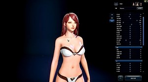 Character Creation/Customization Help Information