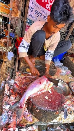 Live Pangah Fish Cutting 🙂 #shorts #shortfeed