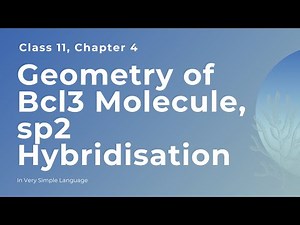 Geometry of Bcl3 Molecule, sp2 Hybridisation, Class 11
