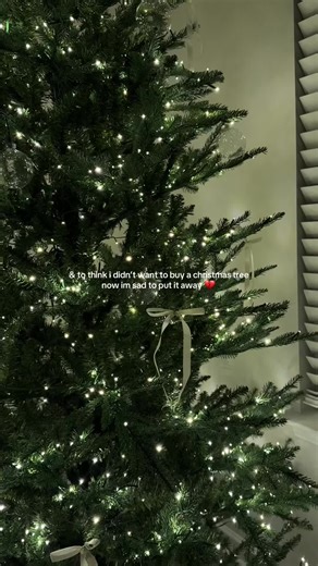 Christmas Tree Reflections: A Bittersweet Farewell