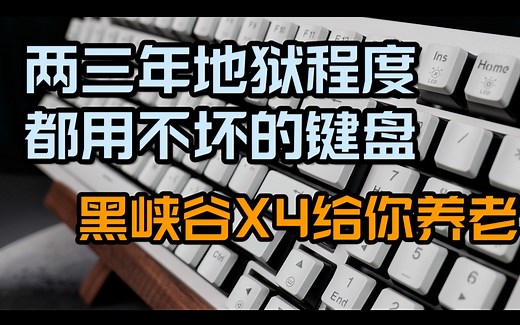 咱主打的就是一个寿命！用不坏的机械键盘 黑峡谷X4评测分享