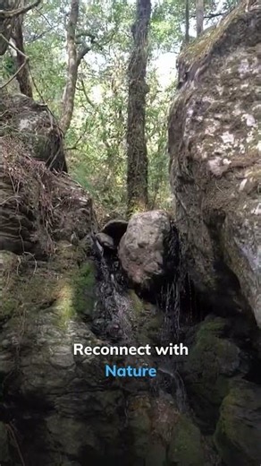 Pangot Travel Guide | Uttarakhand’s Peaceful Hidden Gem 🏔️