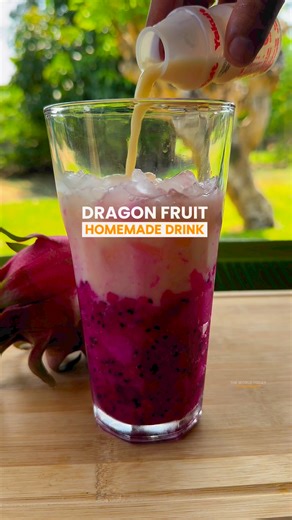 10K views · 77 reactions | DRAGON FRUIT DRINK (with yakult and sprite)-Refreshment ideas. Dahil medyo mainit na naman ang panahon, tara magpalamig tayo #fruits #refresh #drinks #Juice #dragonfruit #harvest #farmlife #buhayprobinsya #Cagayan #homemade #palamig #pinoy #sweets #treats #fbreelsvideo #trendingreels #trendingvideo #trend #nature #food #foodie #OFW #ofwlife #pinoyabroad #pinoyfood #KMJS #Philippines #fresh #tourism #virals | The World Today Entertainment | Facebook