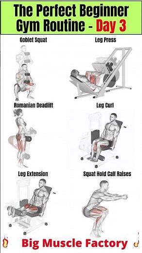 Perfect Gym Workout Plan for Beginners | Full Body Muscle Building |#shorts #viral #Beginners #Day3