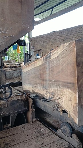 The process of splitting large logs is very stressful. #fblifestyle #sawmill #wood #woodworking #woodslabs #fyp #viral #trending #reels #travel #trendingreels #entertainment #diy | Bola Voli Go