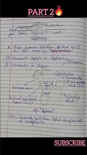 #neet class 11th chapter 7 structural organisation in animals handwritten notes✌️
