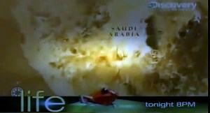 Hindi Disconery Channel :The Hajj (Revealed ) - Discovery Channel - (Hindi) Documentary