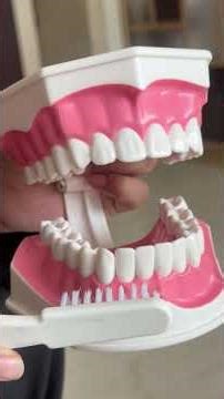This is how you brush your teeth well 🎀