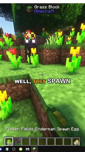 HOW THE FLOWER FIELDS ENDERMAN WORKS IN MINECRAFT Enderman Overhaul