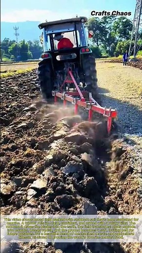 Tractor Rotary Tilling Field for Potato Planting: Preparing the Ground for a High-Yield Potato Crop