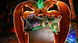 394 reactions · 127 shares | Lights at Spooky Point returns to Selby Gardens Historic Spanish Point campus October 3 - November 1!  Visit selby.org to get your tickets today! | Selby Gardens - Marie Selby Botanical Gardens | Facebook