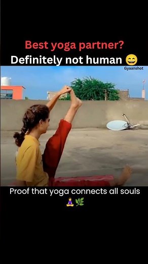 Best Yoga Partner Ever 🐒🧘‍♀️ | When Nature Joins the Practice
