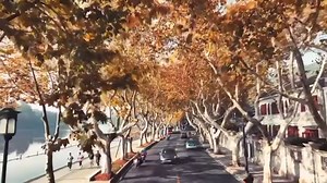 1K views · 140 reactions | Hangzhou’s most beautiful autumn scenes are captured forever within a photographer’s lens. While the trees in northern cities have shed their foliage for the year, Hangzhou’s trees are still brilliantly golden. This video was filmed by Zhang Li, a member of the Hangzhou Photographers Association. #hangzhou #hangzhoucity #hangzhouchina #autumn #autumnvibes #fall #fall #fallcolors #autumncolors #autumnleaves | Hangzhou, China | Facebook
