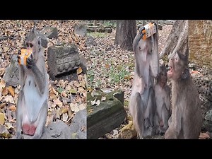 when Jazzy had got pregnant drinks milk to preserve her baby, Jade to drinks grandchild open mouth t