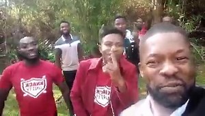 Knack Unity | Zed Diary