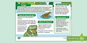 Frogs Fact File