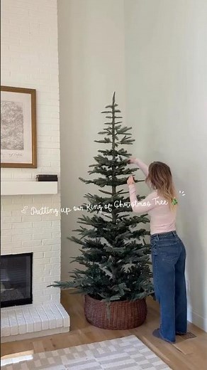 King Noble Fir Christmas Tree Setup