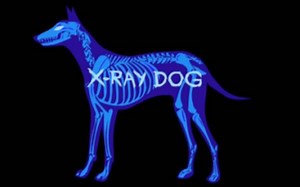 【网易云音乐】气势磅礴的史诗级BGM-游戏、影视