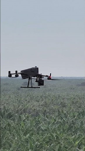 Mapping Dense Palm Oil Production Estate with LiDAR 🌴 DJI Zenmuse L3