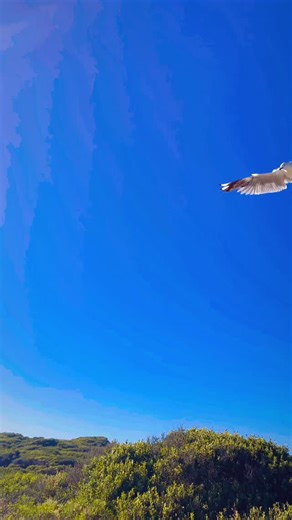 Siblings need support as well💚 to feel seen, heard, and just as important. Because type 1 affects the whole family. | The Type1 Foundation