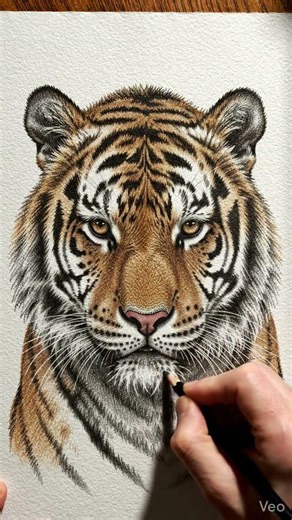Step-by-step tutorials, fun challenges, and creative inspiration for artists of all levels.