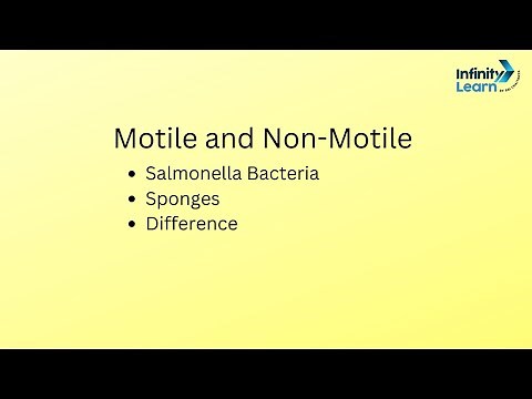 Motile and Non- motile|| Science ||Salmonella and Sponges|| Difference