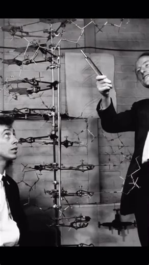 AI Portraits | History Reimagined | Viral Content | Culture on Instagram: "1. Rosalind Franklin * **Birthplace:** London, England * **Field:** Biophysics, X-ray Crystallography * **Groundbreaking Contribution:** Captured the critical "Photo 51," an X-ray diffraction image that revealed the double-helix structure of DNA. Her essential data provided the key evidence for understanding DNA's molecular structure. 2. James Watson & Francis Crick * **Birthplace:** James Watson (Chicago, USA) / Francis