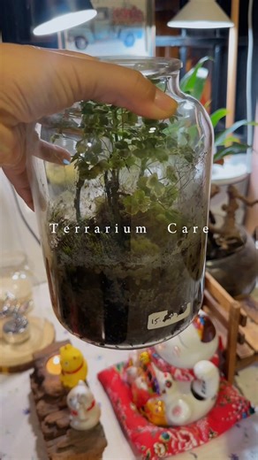 Our 4 years old greenie | Green by Dawn
