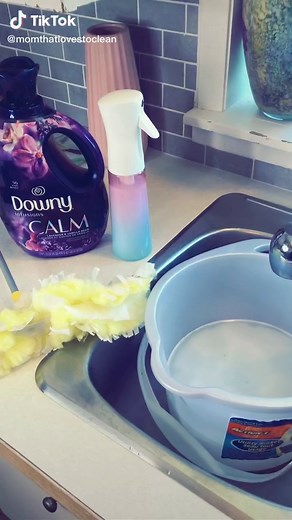 Mom that loves to clean on TikTok