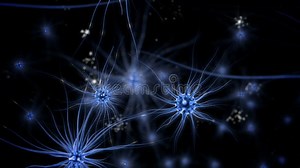 Brain Impulses. Neuron System. Human Anatomy. Brain Work. Transferring Pulses and Generating Information Stock Footage - Video of brain, neuro: 66181740