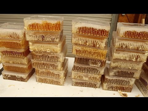 You've Never Seen Honey Like This!