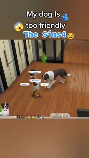 Funny Sims 4 Doggo Fail Compilation