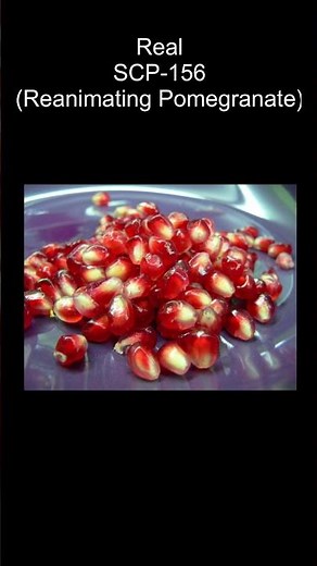SCP-156 | Reanimating Pomegranate (SCP Library) #real #scpfoundation #horrorstories #creepy