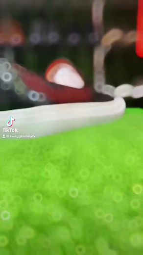 Swagg Society | Swagg Society | Facebook